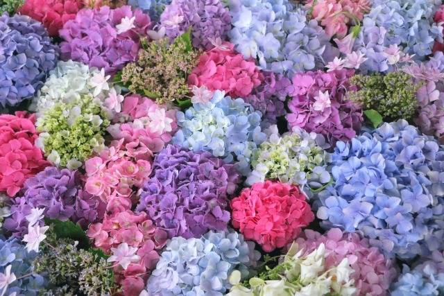 コンロ交換いたします