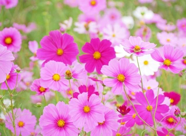 給湯器交換いたします！