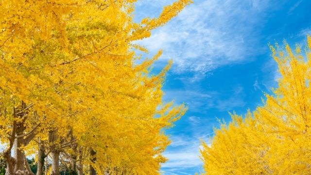 給湯器の故障とトラブル対策